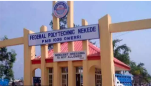 Nekede Poly