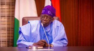 Tinubu Is In-charge Of State Capture In Lagos - Rhodes-Vivour