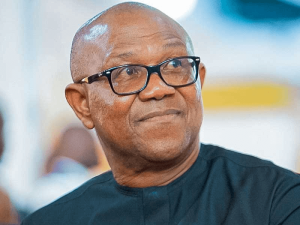 We Are Emptying LP, Peter Obi Will Join APC - Bwala